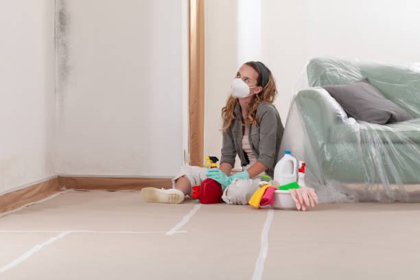 Reliable Mold Testing contractor in Hudson, TX by WQB Mold Removal